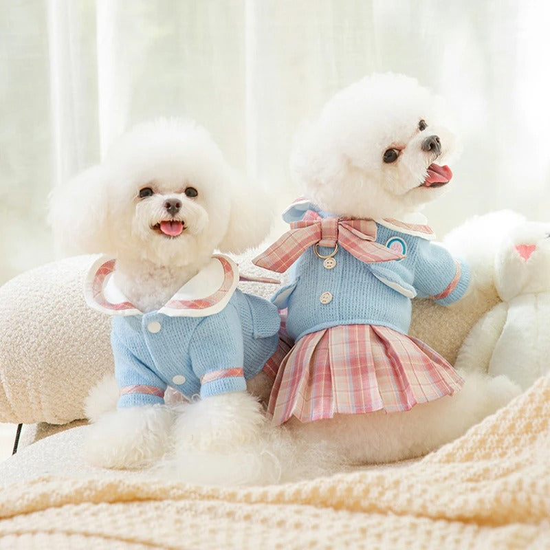 Vestido  cães e gatos