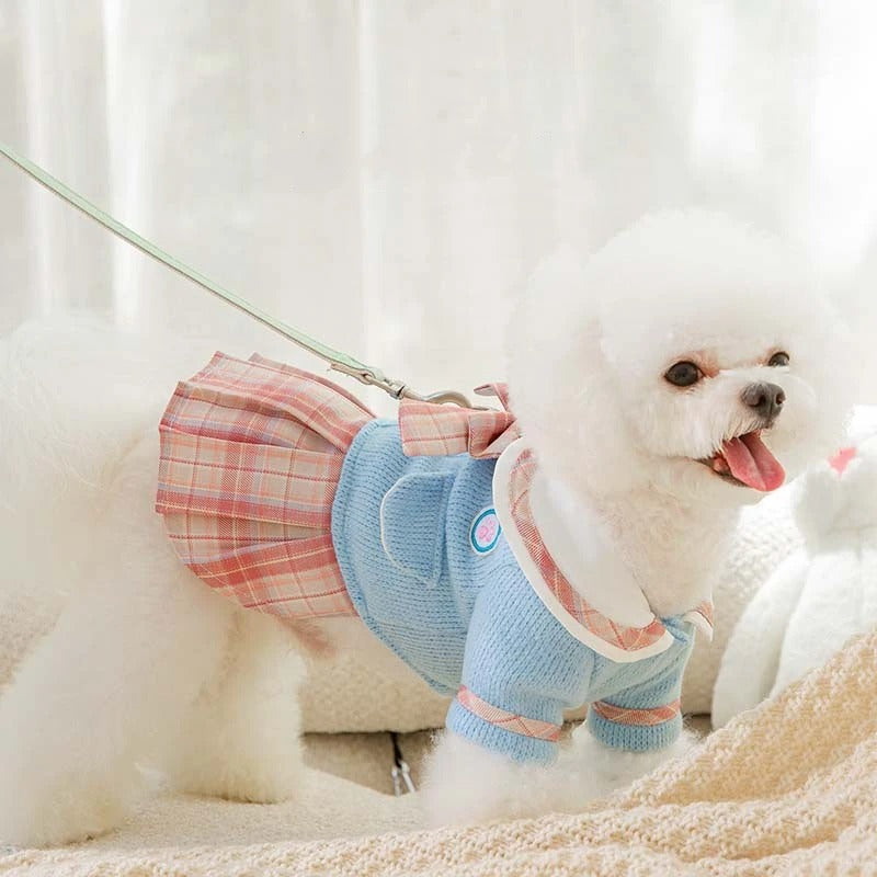 Vestido  cães e gatos