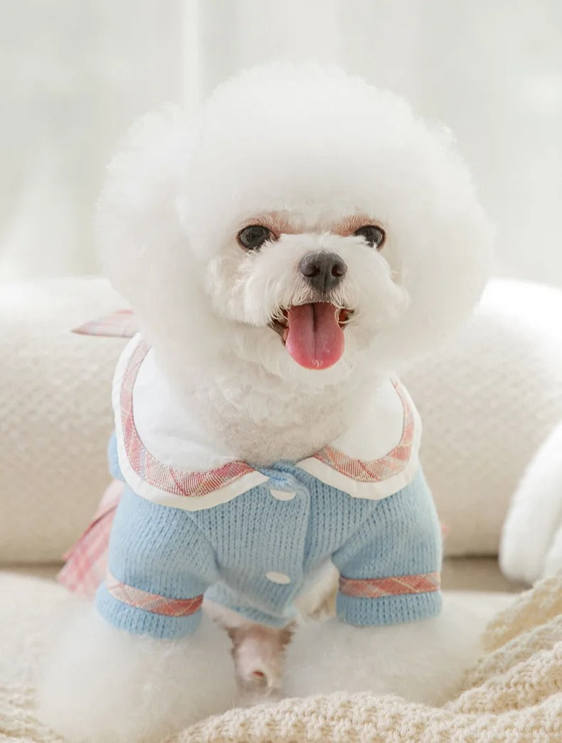 Vestido  cães e gatos